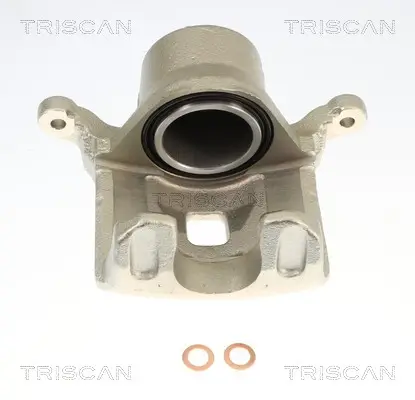 Bremssattel TRISCAN 8175 14133