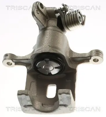 Bremssattel TRISCAN 8175 14209