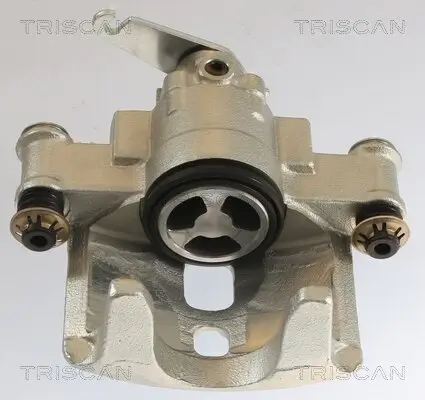 Bremssattel TRISCAN 8175 15206