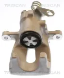 Bremssattel TRISCAN 8175 15217