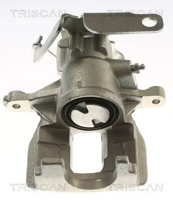 Bremssattel TRISCAN 8175 16201