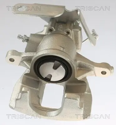 Bremssattel TRISCAN 8175 16202