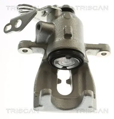 Bremssattel TRISCAN 8175 16204