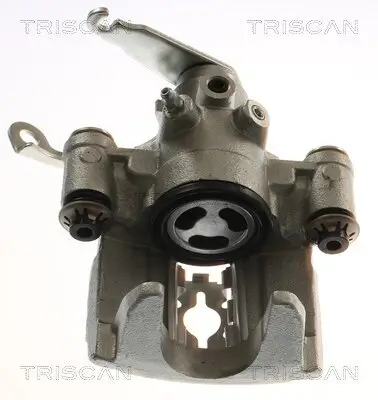 Bremssattel TRISCAN 8175 16219