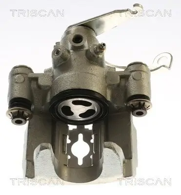Bremssattel TRISCAN 8175 16220