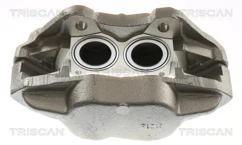 Bremssattel TRISCAN 8175 17101