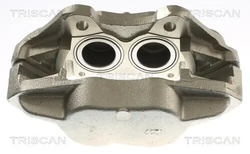 Bremssattel TRISCAN 8175 17102