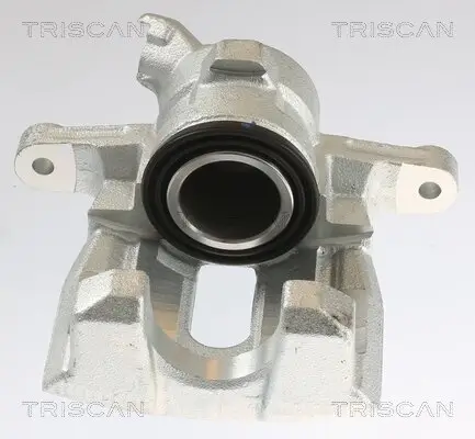 Bremssattel TRISCAN 8175 17201