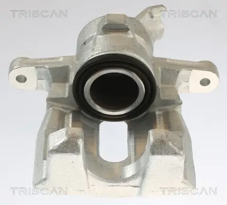 Bremssattel TRISCAN 8175 17202