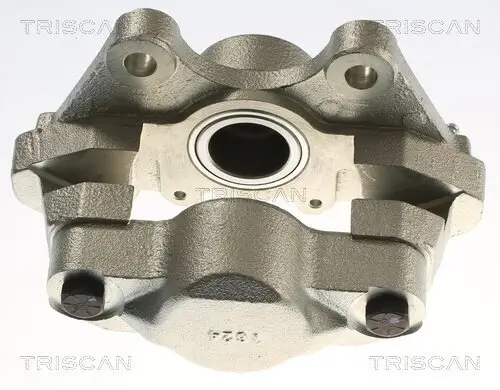 Bremssattel TRISCAN 8175 17205