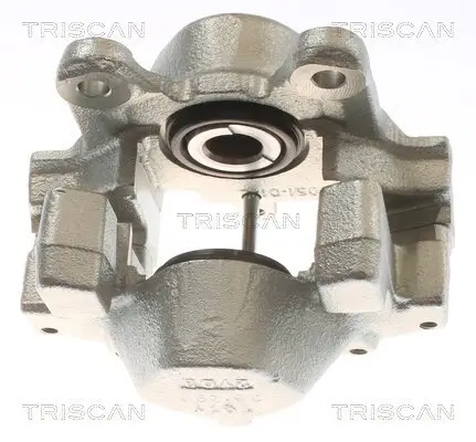 Bremssattel TRISCAN 8175 23207