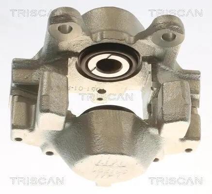 Bremssattel TRISCAN 8175 23208