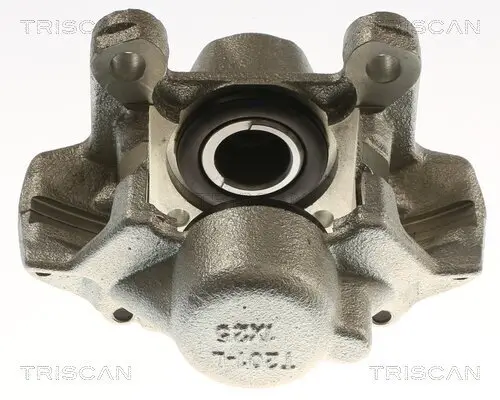 Bremssattel TRISCAN 8175 23219