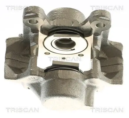 Bremssattel TRISCAN 8175 23222