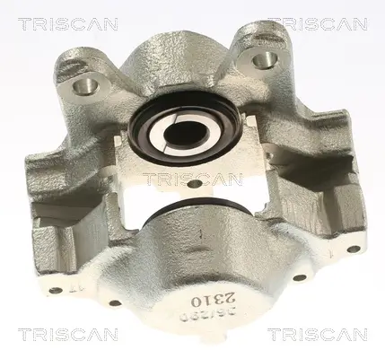 Bremssattel Hinterachse links TRISCAN 8175 23223