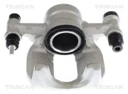 Bremssattel TRISCAN 8175 23252