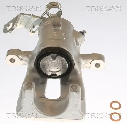 Bremssattel TRISCAN 8175 24201