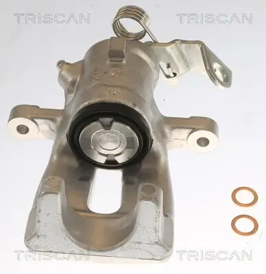 Bremssattel TRISCAN 8175 24202