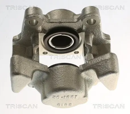 Bremssattel Hinterachse links TRISCAN 8175 24213 Bild Bremssattel Hinterachse links TRISCAN 8175 24213