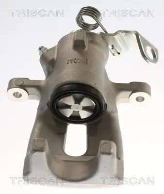 Bremssattel TRISCAN 8175 24228