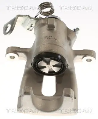 Bremssattel TRISCAN 8175 24233