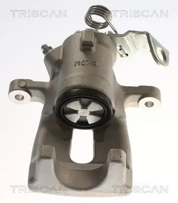 Bremssattel TRISCAN 8175 24234