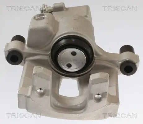 Bremssattel TRISCAN 8175 25202