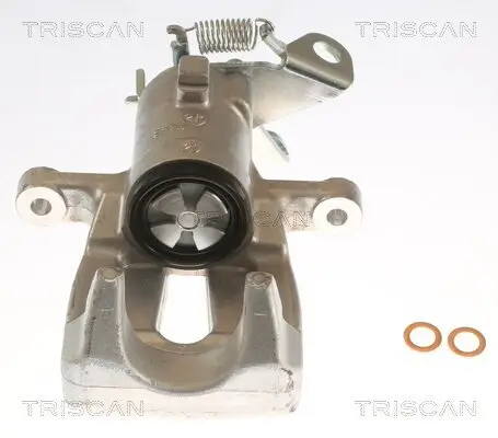 Bremssattel TRISCAN 8175 25203