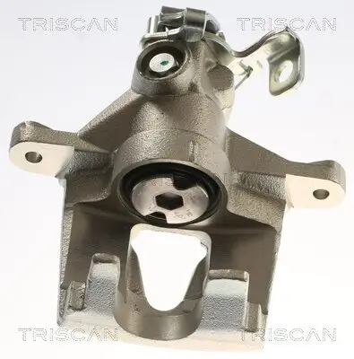 Bremssattel TRISCAN 8175 25213