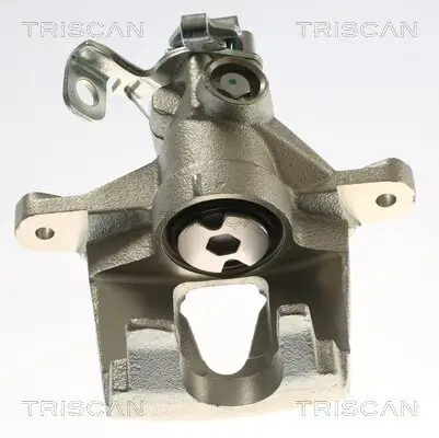 Bremssattel TRISCAN 8175 25214