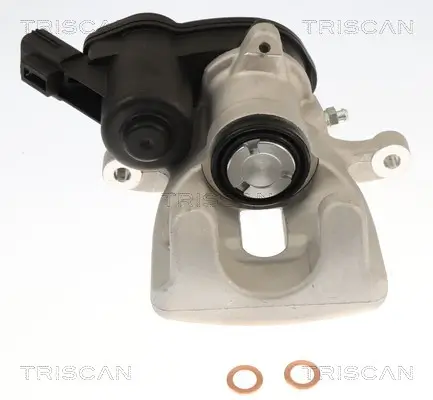 Bremssattel TRISCAN 8175 25227