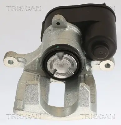 Bremssattel TRISCAN 8175 27209