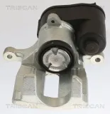 Bremssattel TRISCAN 8175 27209