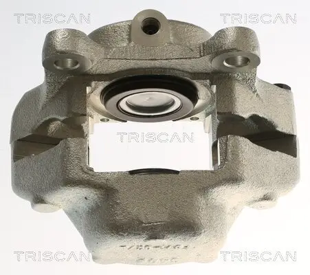 Bremssattel TRISCAN 8175 27215