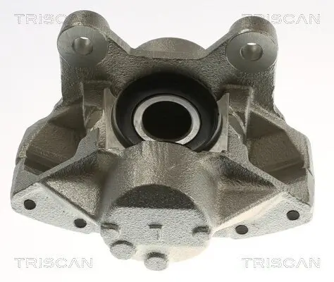 Bremssattel TRISCAN 8175 27217