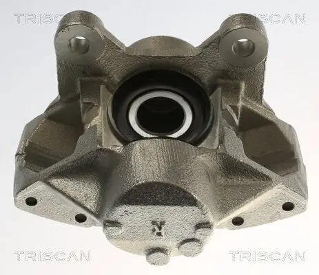 Bremssattel TRISCAN 8175 27218