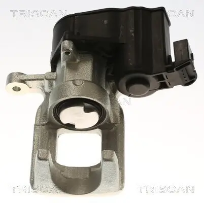 Bremssattel TRISCAN 8175 28233