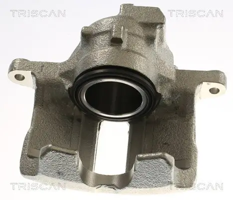 Bremssattel TRISCAN 8175 29117