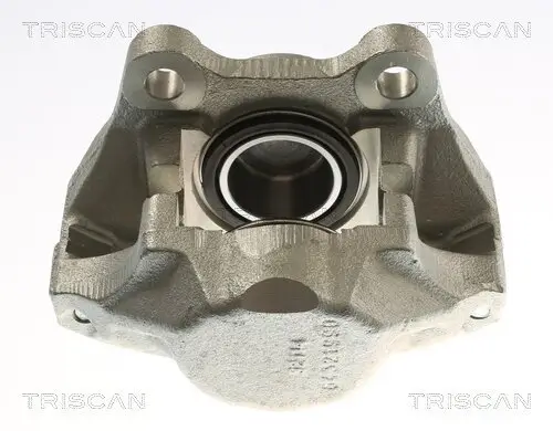 Bremssattel TRISCAN 8175 29139