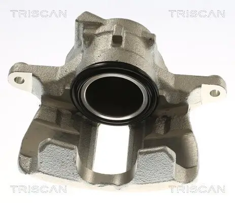 Bremssattel TRISCAN 8175 29153