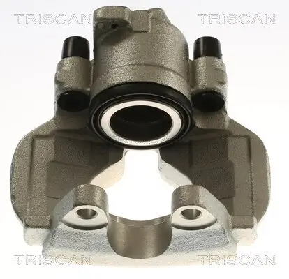 Bremssattel TRISCAN 8175 29169