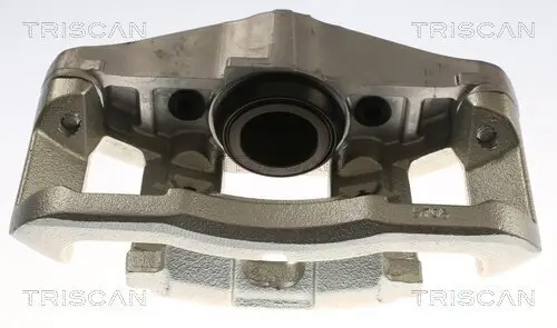 Bremssattel TRISCAN 8175 29172
