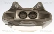 Bremssattel TRISCAN 8175 29173