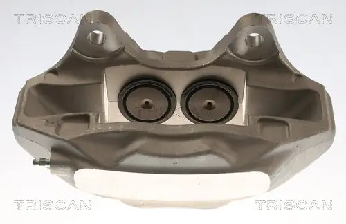 Bremssattel TRISCAN 8175 29173 Bild Bremssattel TRISCAN 8175 29173