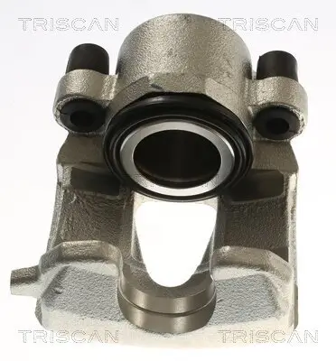 Bremssattel TRISCAN 8175 29180