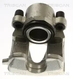 Bremssattel TRISCAN 8175 29180