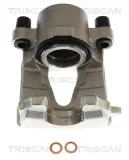 Bremssattel TRISCAN 8175 29189