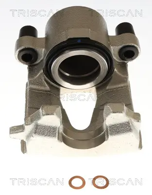 Bremssattel TRISCAN 8175 29190