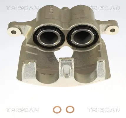 Bremssattel TRISCAN 8175 29197