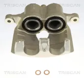 Bremssattel TRISCAN 8175 29197